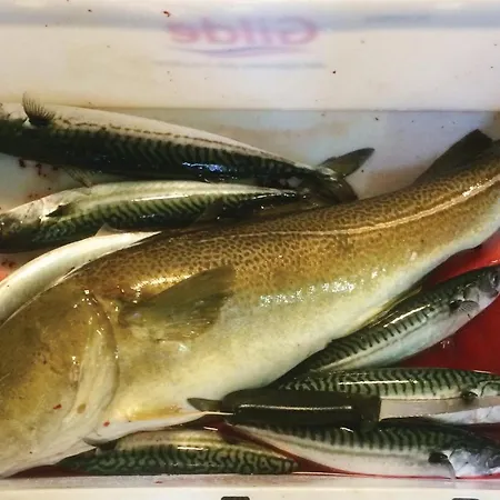 Сasa de vacaciones Lovely In Vagstranda Hjelvik