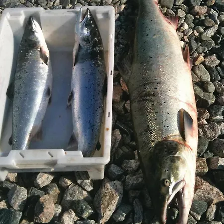 펜션 Lovely In Vagstranda *