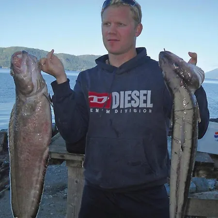 Gorgeous In Vagstranda With House Sea View * Hjelvik